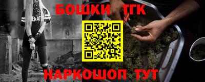 молекула духа Камышлов