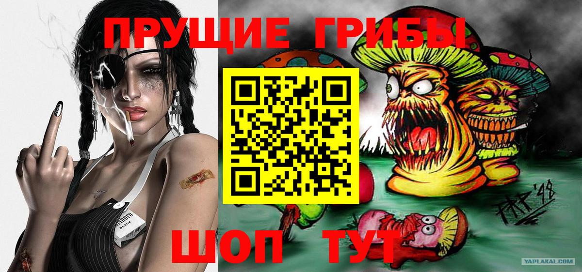Галлюциногенные грибы Magic Shrooms Кудрово