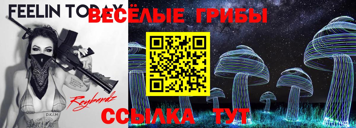 Галлюциногенные грибы мухоморы  Вход с VPN  Кудрово  Псилоцибиновые грибы Cubensis 
